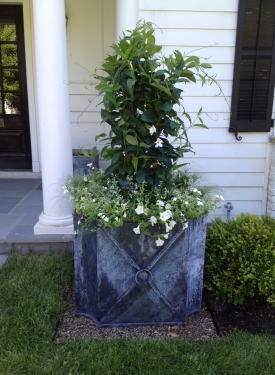 Custom Jackie Box planted